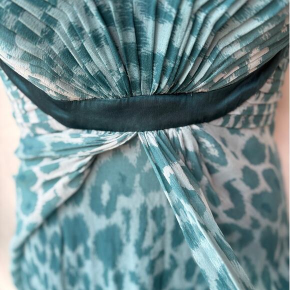 Tadashi Collection Teal Silk Ombre Leopard Maxi Dress with Satin Trim size 10 - Picture 9 of 16
